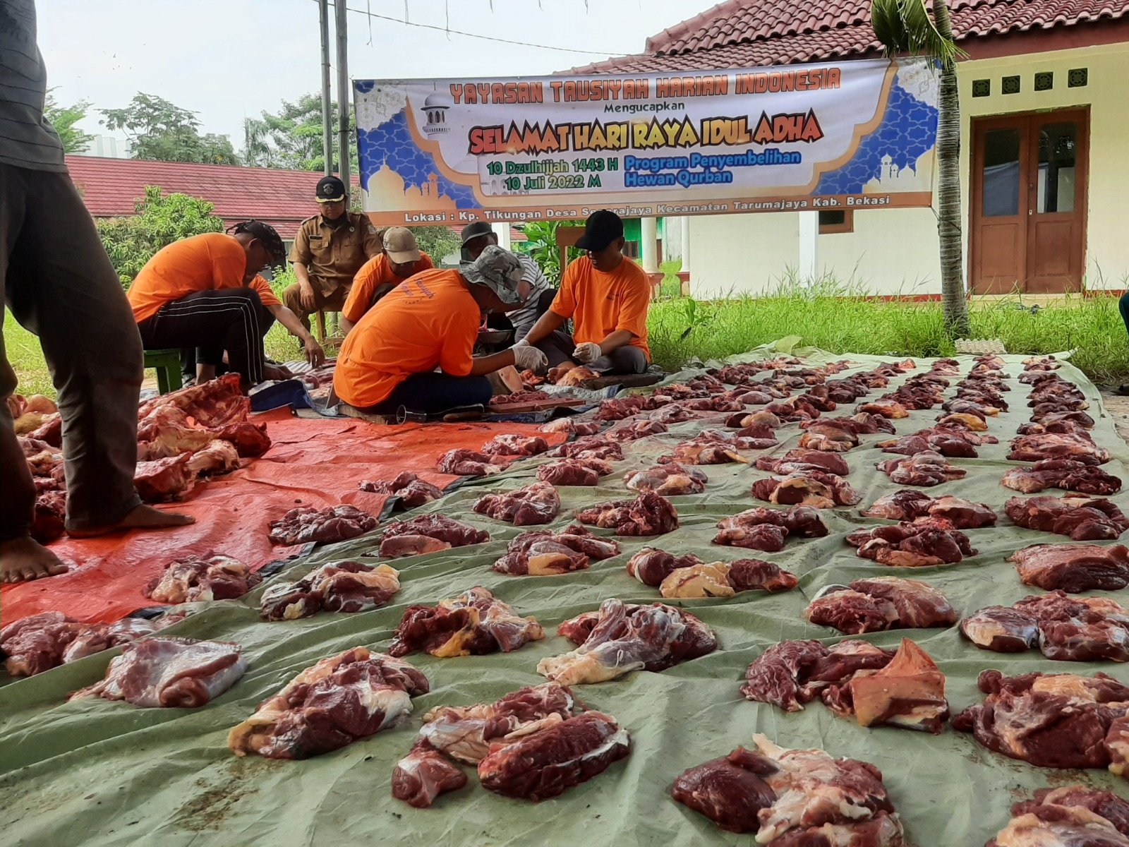 Penyembelihan Hewan Qurban